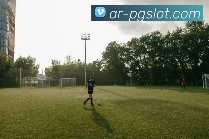 PG麻将胡了官网APP 封面图